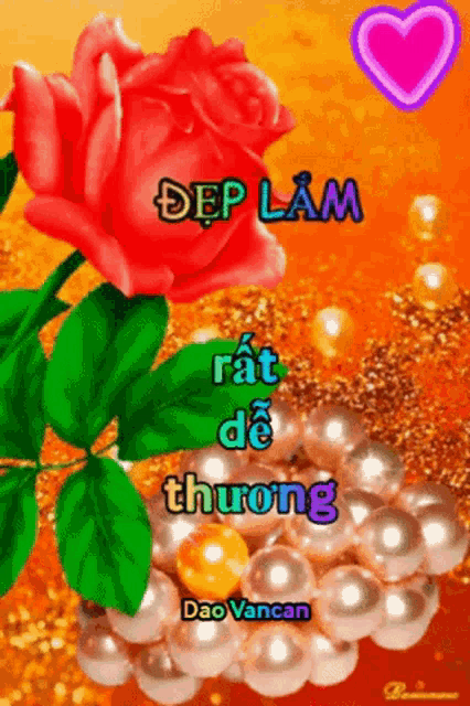 a picture of a rose and pearls with the words dao vancan on it