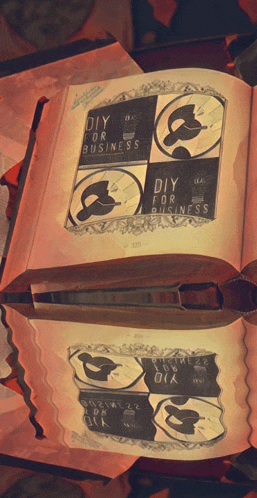 a book is open to a page that says ' diy for business ' on it