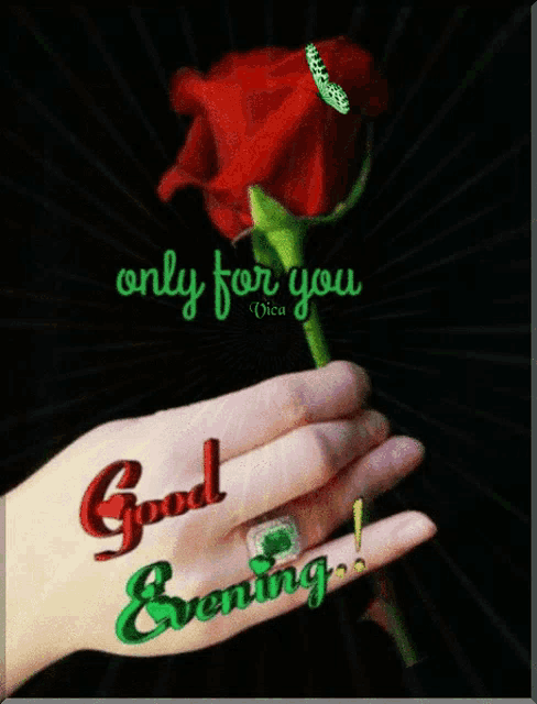 a woman 's hand is holding a red rose with the words only for you good evening