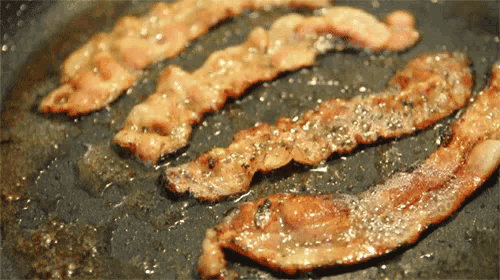 베이컨 지글지글 고기 굽기 굽다 돼지고기 GIF - Bacon Sizzling Meat GIFs