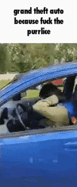 a person is driving a blue car with a cat in the back seat .