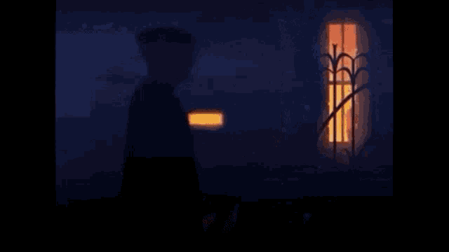 a person is standing in front of a window at night