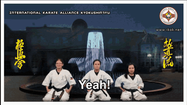 a poster for international karate alliance kyokushinryu