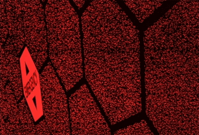 a row of red emergency signs on a wall