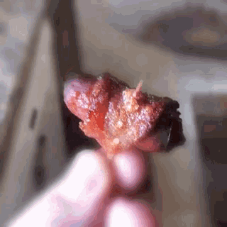 a person is holding a piece of meat in their hand ..