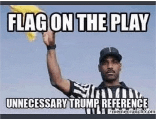 a referee is holding a yellow flag and says flag on the play unnecessary trump reference