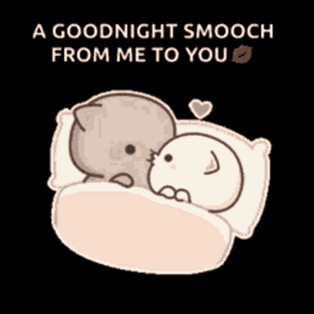 two cats are sleeping in a bed with the words `` a goodnight smooch from me to you '' above them .