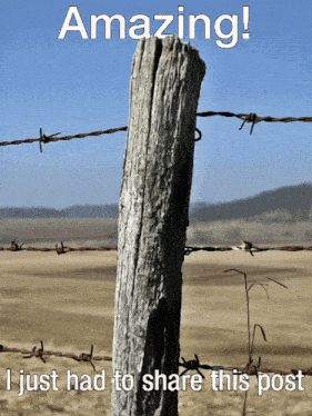 a picture of a barbed wire fence with the caption amazing