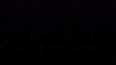 a couple of birds standing on a bridge in the dark