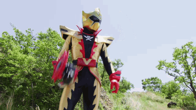 a man in a gold and black costume with a skull and crossbones on it