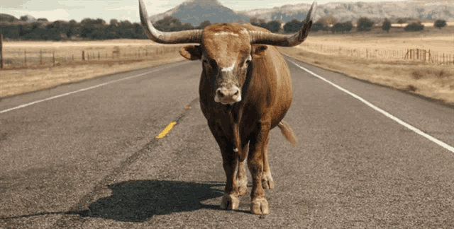Big Bull Matthew Mcconaughey GIF - Big Bull Matthew Mcconaughey Blocking GIFs