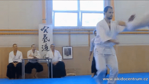 Martin Sourada Sourada Aikido GIF - Martin Sourada Sourada Aikido Ninja GIFs