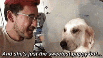 a man and a dog are looking at each other and the dog is wearing a cone around its head .