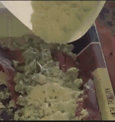 a close up of a person pouring food into a container that says ' vanilla bean ' on it