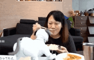 a woman is eating from a plate with chopsticks while a toy dog watches
