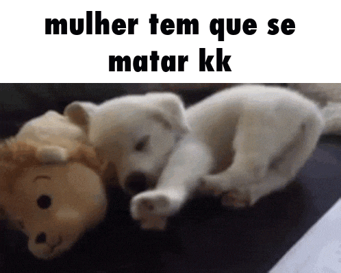 a white puppy is laying next to a stuffed lion and the caption says mulher tem que se matar kk
