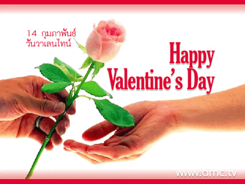 a happy valentine 's day greeting card with a pink rose