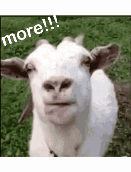 Gene More GIF - Gene More Goat GIFs