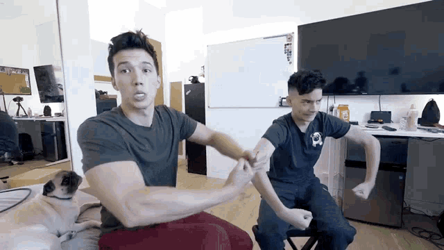two men are flexing their muscles in a room with a pug dog