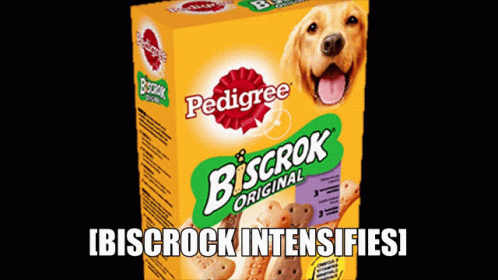 Biscrock Intensifies GIF - Biscrock Intensifies Biscrock Intensifies GIFs