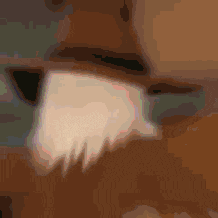 a close up of a cow 's ear with a beard