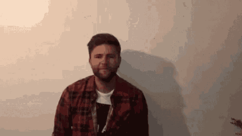 a man with a beard wearing a plaid shirt is standing in front of a wall .