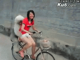 Sheep Dog Bike GIF - Sheep Dog Bike Bicycle GIFs