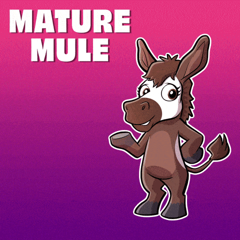an illustration of a donkey with the words mature mule behind it