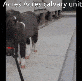 Acres Acres Calvary GIF - Acres Acres Calvary Unit GIFs