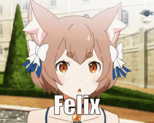 Felix Trap GIF