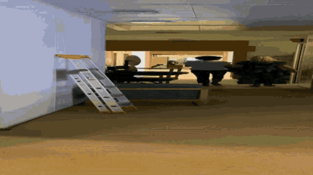 a ladder is sitting on the floor in a room with a sign that says ' elevator ' on it