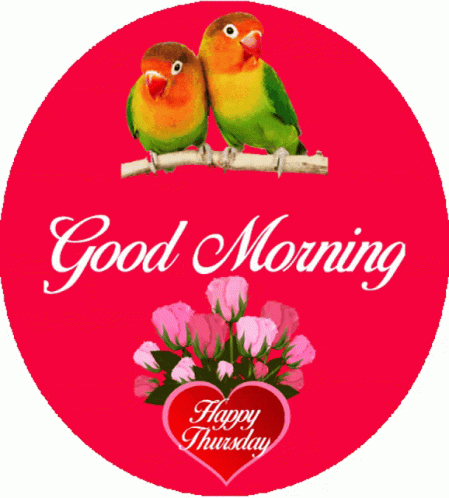 Good Morning Love Birds GIF - Good Morning Love Birds Happy Thursday GIFs