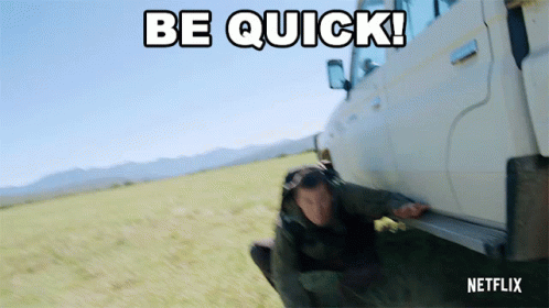 Be Quick Animals On The Loose GIF - Be Quick Animals On The Loose Hurry GIFs