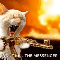 Killing Cat GIF - Killing Cat GIFs