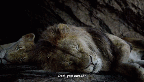 The Lion King Simba GIF - The Lion King Simba Dad You Awake GIFs