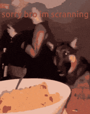 a dog looking at a bowl of cereal with the words sorry bro i 'm scranning