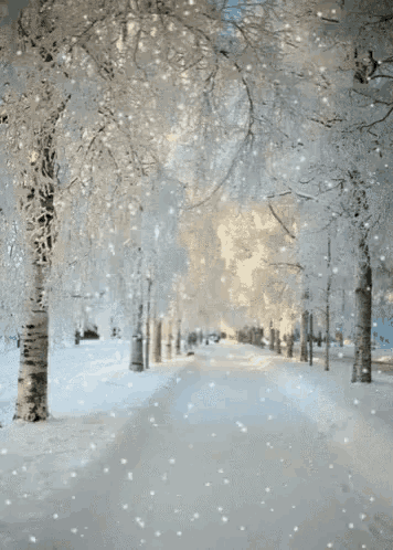 snow is falling on a snowy road with trees covered in snow