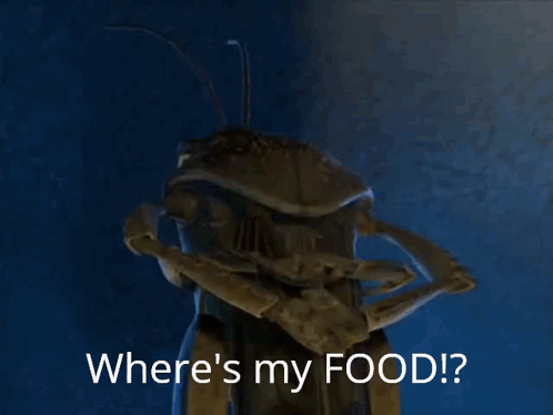 Where'S My Food Wheres My Food GIF - Where'S My Food Wheres My Food A Bugs Life GIFs