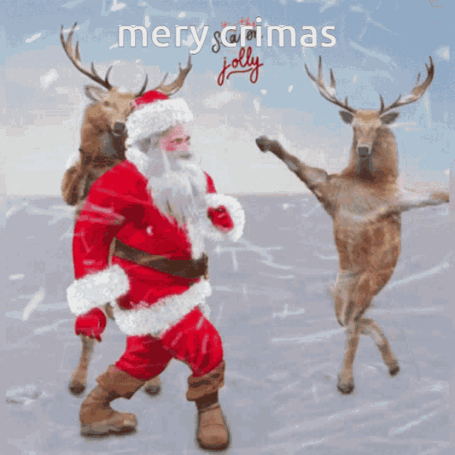 Christmas Santa Claus Reindeer GIF - Christmas Santa Claus Reindeer Christmas GIFs