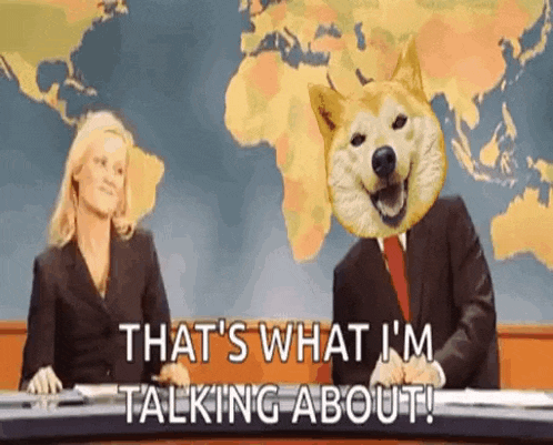 a dog with a man 's head is talking to a woman on a news show .