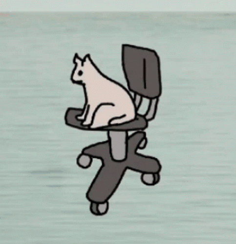 Cat Spin Spin GIF - Cat Spin Spin Cat GIFs