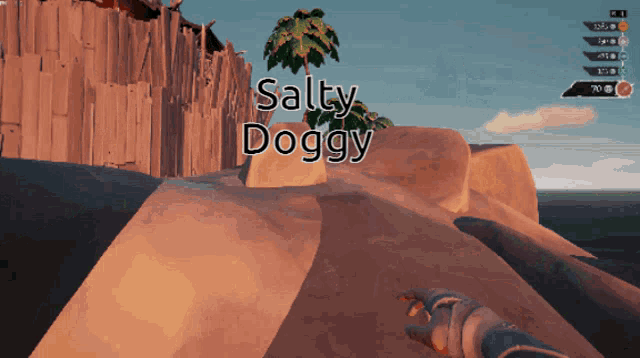 a screenshot of a video game that says salty doggy on it