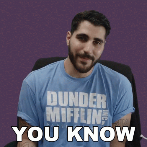 You Know Rudy Ayoub GIF - You Know Rudy Ayoub You Understand Me GIFs
