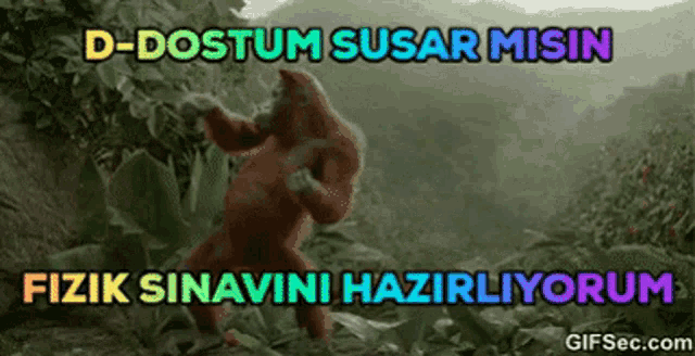 a monkey is dancing in a jungle with the words d-dostum susar misin written above it