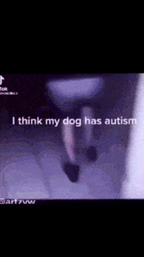 a video of a person walking with the words " i think my dog has autism "