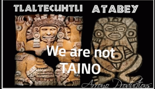 We Are Not Taino Taino GIF - We Are Not Taino Taino Atabey GIFs