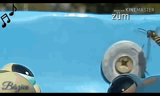 a bee is flying over a screw in the water