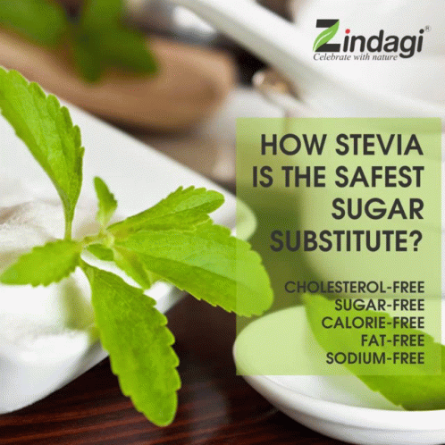 Stevia Sugar GIF - Stevia Sugar GIFs