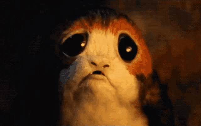 a close up of a creature with big eyes