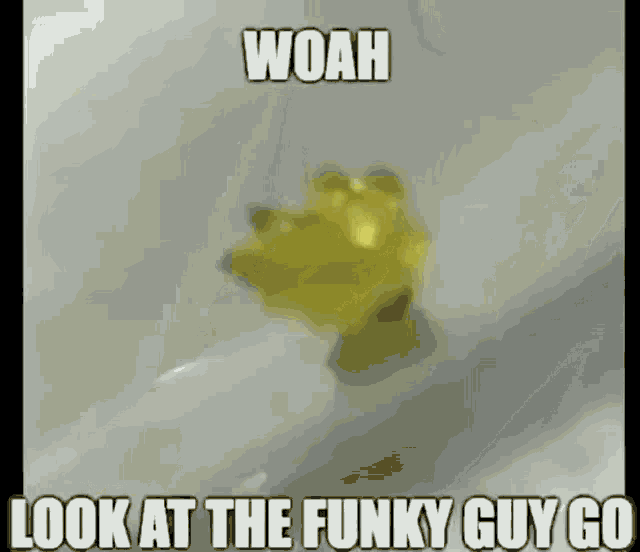 a yellow gummy bear is floating in a bathtub with a caption that says `` woah look at the funky guy go ''